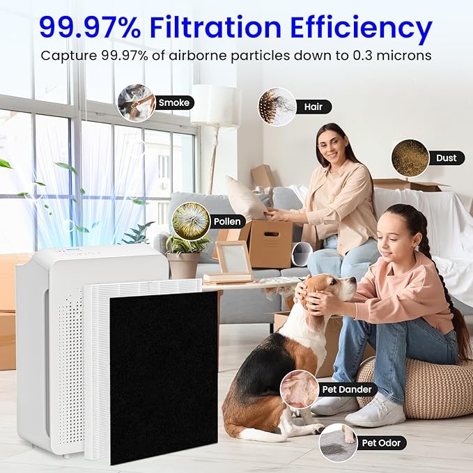 Future Way 2-Pack C545 Replacement Filter S Kit Compatible with Winix C545 Air Purifier, H13 True HEPA Filter, Replace 1712-0096-00