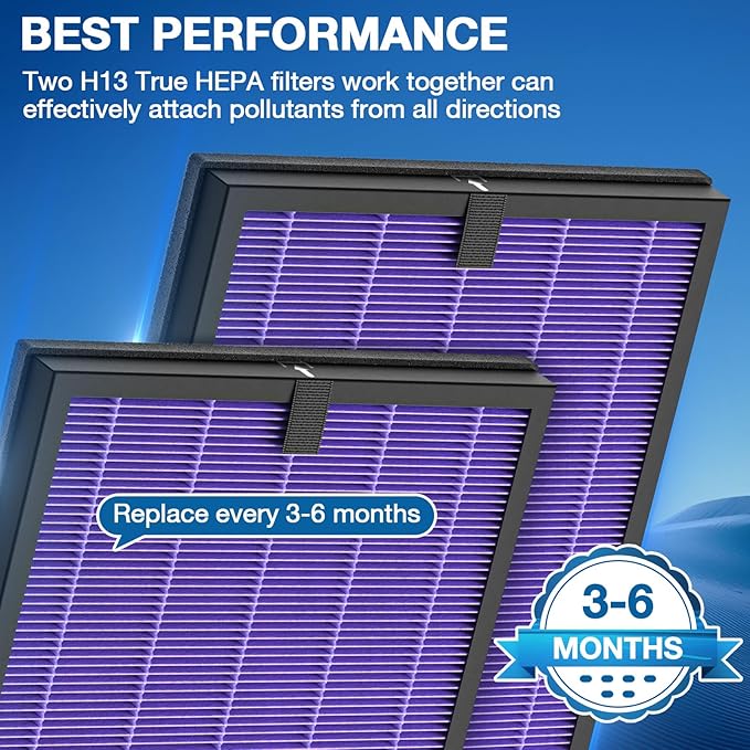 2 Pack HY4866 Replacement Filters for MORENTO/WESTHEY HY4866 Air Purifier and YIOU M1 Air Purifier, 3-in-1 H13 True HEPA Filter High-Efficiency Activated Carbon Filter, Multifunction Version