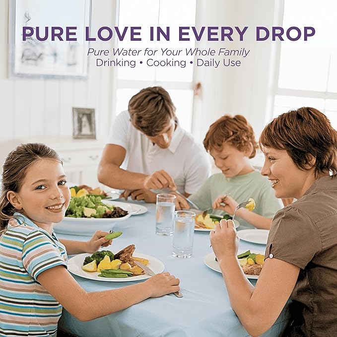 Water Filter Cartridge Replacement 1361 and Mineral Stones 13564 (formerly 1386) for Nikken Water Filter PiMag Aqua Pour Gravity System 1360, Home Gravity Filtration System for Countertop Filters