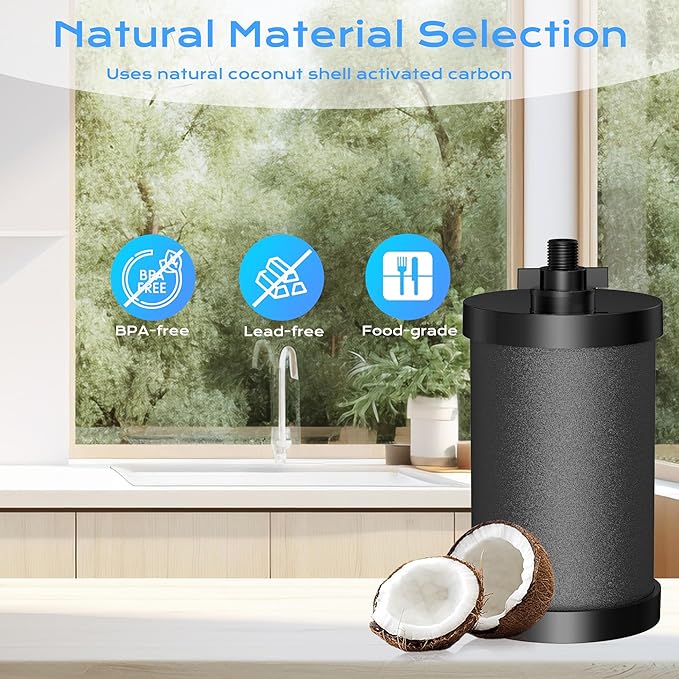 2387 Pro Black Filter, NSF/ANSI 42 Certified Replacement for Alexapure 2387 Filter, Compatible with Alexapure Water Filtration System 5000 Gallon, 2 Pack