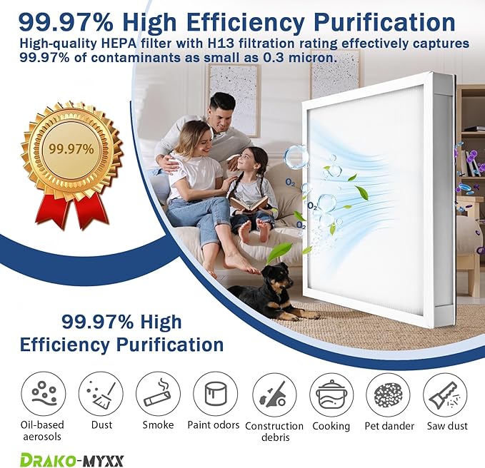 2 Pcs Upgrade HEPA 550 Filter, F301H Air Scrubber Stage 2 HEPA Filter, HEPA Air Shield 550 Filter,16 x 19 x 2", AS-550 Filters, Replacement for BlueDri, Dri-Eaz, Phoenix, and Bear