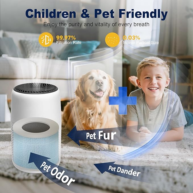 Core Mini Smoke Remover Replacement Filter for LEVOIT Core Mini-P Air Purifier, 3-in-1 High-Efficiency H13 True HEPA Activated Carbon Filter, Core Mini-RF-SR, 4 Filter & 10 Fragrance Sponge, Blue