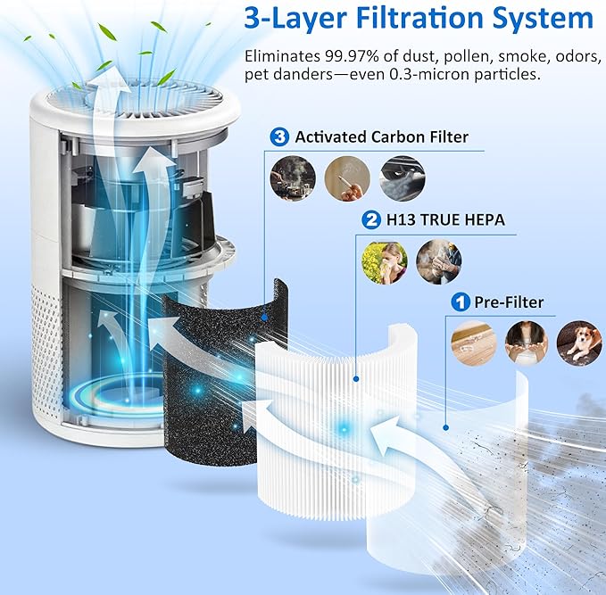 B-D02L Replacement Filter Compatible with MOOKA B-D02L/M05, VEWIOR B-D02U, KOIOS B-D02L, Tailulu D10 Air Purifier, for Home Large Room up to 1076 ft², 3 Pack