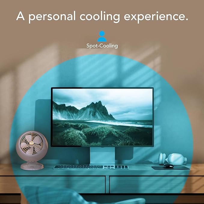 Vornado VFAN™ Mini Fan, Classic Vintage Circulator, Retro Metal Air Circulator, For Desk & Bedside, 2 Speeds, Adjustable Tilt, Personal Cooling with Targeted Airflow, Quiet Fan, Driftwood