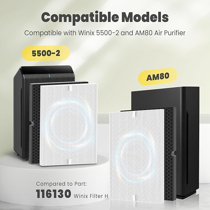 116130 Replacement Filter H for Winix 5500-2 AM80 Plasmawave Air Purifier, Includes 2 Pack True HEPA Filter and 2 Pack Activated Carbon Filter