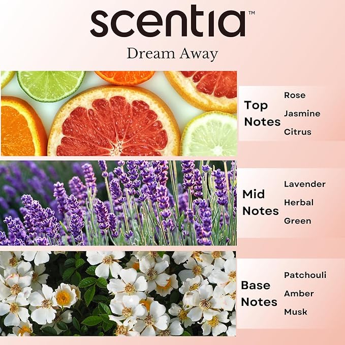 Fragrance Oil Blend, Inspired by Iconic Perfume, Home Luxury Scents, Essential Oil Blend for Aromatherapy Diﬀusers, Humidifiers & Candle Making -Dream Away 20ml, 0.67 Fl Oz, Mothers Day Gift