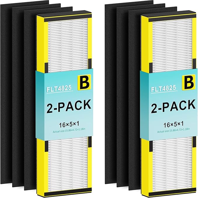 Filter B, FLT4825 Filter Replacement for Guardian AC4825 AC4825E AC4300 AC4800 AC4850 Air Purifier – 2 True HEPA Filters & 6 Pre-Filters (2-Pack)