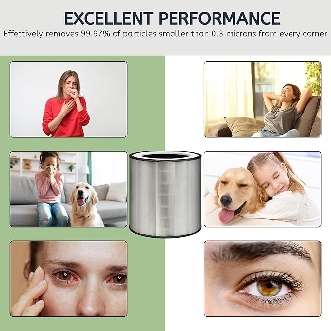 Nispira C610 Replacement Filter Z for Winix C610 Air Purifier 1712-0121-00 H13 Grade True HEPA with Activated Carbon, 2 Packs