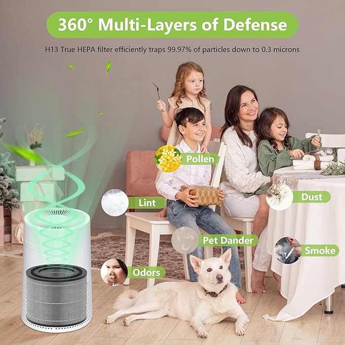 AC2224A Replacement Filter Compatible with Amazon Basics AC2224A Air Purifier, 3-in-1 Filtration System H13 True HEPA Filter with Activated Carbon, #2224RF 2Pack