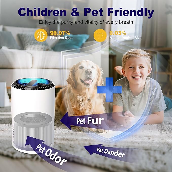 MK01 & MK06 True HEPA Filter Replacement Compatible with Aroeve MK01, MK06, ToLife TZ-K1 and Kloudi DH-JH01 Air Purifier, Smoke Remover Version, Grey, 2 Pack