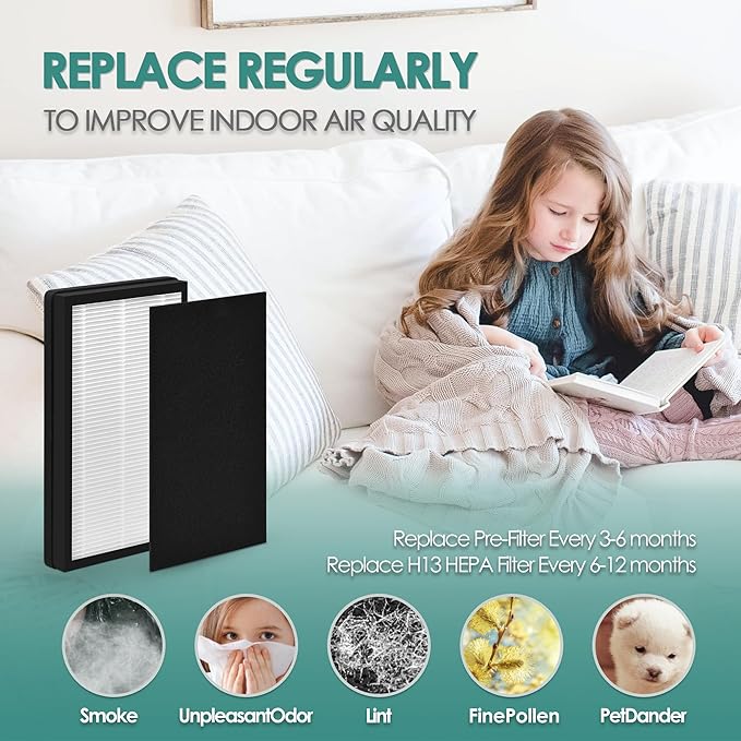 Idylis Air Purifier Replacement Filter C for Filtrete and Idylis IAP-10-200 IAP10200 [C+C] IAP-10-280 IAP10280 [C+D] Air Purifier with Idylis Air Filters IAF-H-100C, 2 HEPA & 2 Extra Carbon Pre-filter