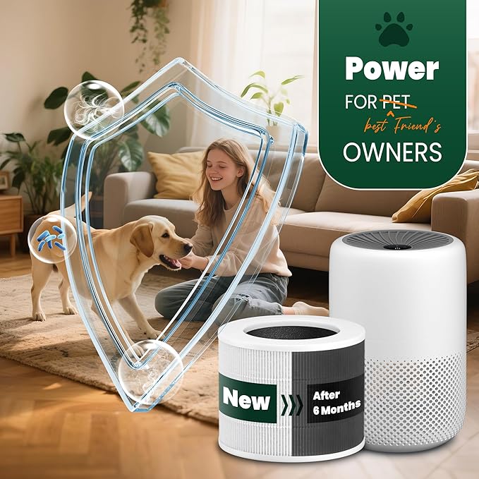 Core Mini Replacement Filter Compatible with LEVOIT Core mini-P Air Purifier, 3-in-1 Pre, H13 True HEPA, Activated Carbon Filtration System,Core Mini-RF,2 Filter & 10 Fragrance Sponge，By Improvedhand