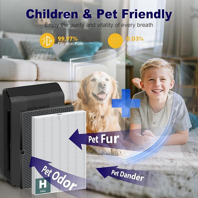 116130 Replacement Filter H for Winix 5500-2 AM80 Plasmawave Air Purifier, True HEPA Filter and Activated Carbon Filter Combo Pack, 1 Set