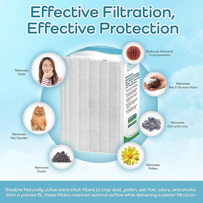 Breathe Naturally Replacement Filters Compatible with Winix C535, Plasmawave 5300, 6300 and Aeramax 300/290 Air Purifiers - True HEPA Filters for Home Purifiers - 12.6" x 16.3" x 1.25" (1 HEPA Filter)