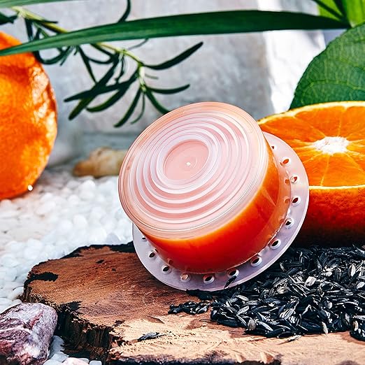 Bodyluv Vita Pure Filter for Vita Puresome Shower Head, Vitamin Filter only (Mandarin Tea)