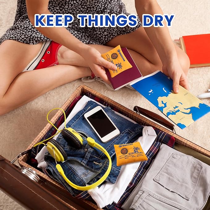 100gx5pcs Rechargeable Desiccant Packs for Storage, Reusable Dehumidifier Bags Visible Color Indicating Silica Gel Packets Moisture Absorbers for Safe Closet 3D Filaments Electronics Camera