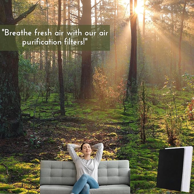 Nispira C545 HEPA Filter Replacement Ture HPEA For Winix C545 Air Purifier, P150, B151, 9300, Part Filter S 1712-0096-00 & 2522-0058-00, 113050 2 Sets