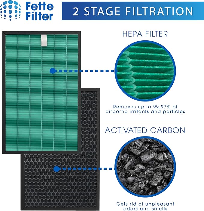 Fette Filter - Replacement Filter Set Compatible with Coway Airmega 150 (AP-1019C) & Airmega 160 Air Purifiers, 2-Pack of 2 in one H13 HEPA.
