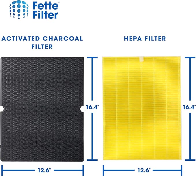Fette Filter - 116131 H13 True HEPA Replacement Filter I Compatible with Winix Filter I for C555 Air Cleaner Includes 2 HEPA Filters + 2 Washable Enhanced Activated Carbon # 116131