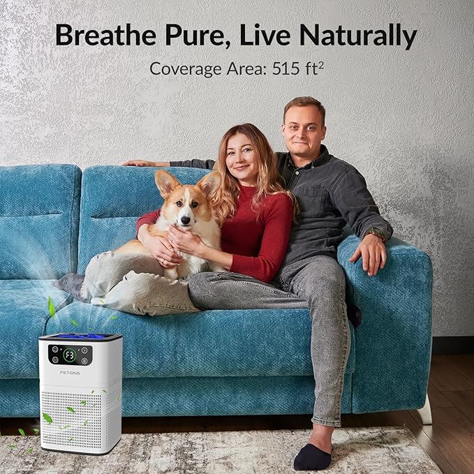 Air Purifiers for Bedroom Home, FETIONS Air Cleaner with Fragrance Sponge Sleep Mode 3-in-1 Filtration System, Compact with H13 HEPA Filter for Pet Dander Pollen Smoke Dust Odor, White,1 Pack