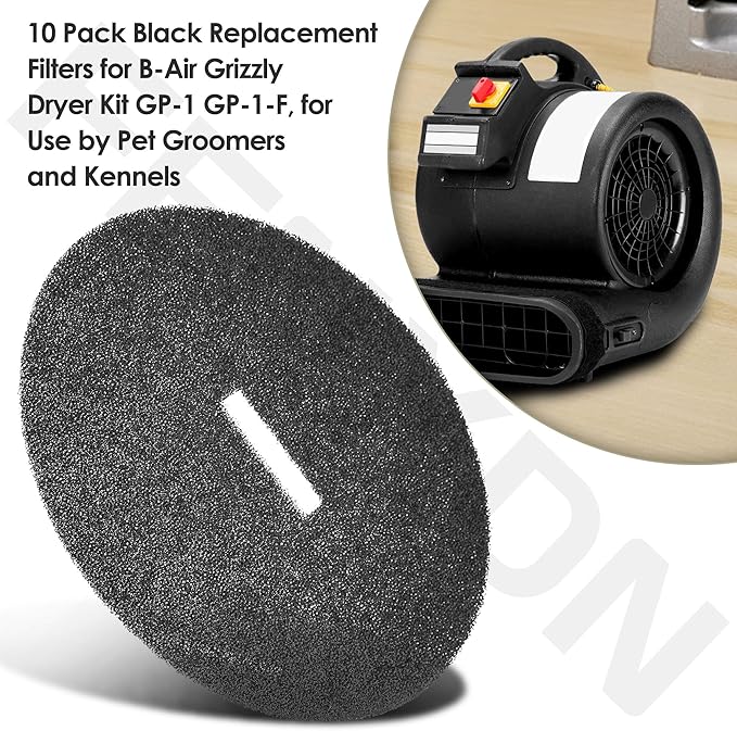 10-Pack Replacement Filters Compatible with B-Air Pet Dryer Airmovers GP-1, GP-1-F Grizzly, for Use by Pet Groomers and Kennels