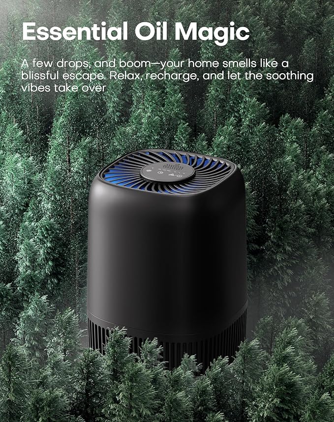 Air Purifiers for Office with H13 True HEPA Filter Up to 1076 Ft² for Pet Family, Pollen, Smoke, Compact Air Cleaner with 3 Speeds, Timer, Aroma Quiet, 360°Intake, for Home Bedroom, Black