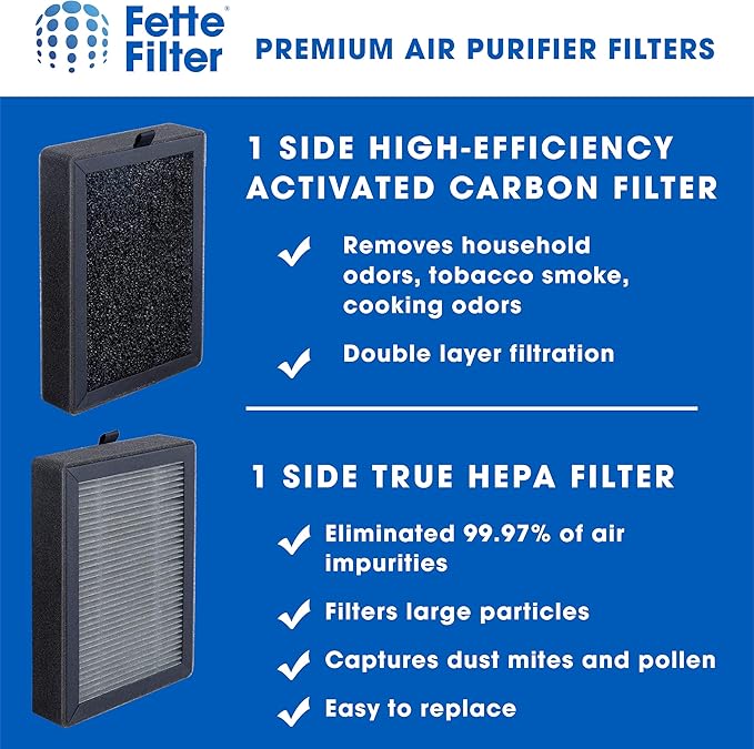 Fette Filter - LV-H128 True HEPA H13 Replacement Filter Compatible with LEVOIT LV-H128-RF/Valkia PU-P02 / PUURVSAS HM669A / ROVACS RV60 Air Purifier Models Part # LV-H128-RF 2-QTY